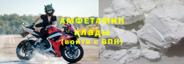 МДПВ Бородино