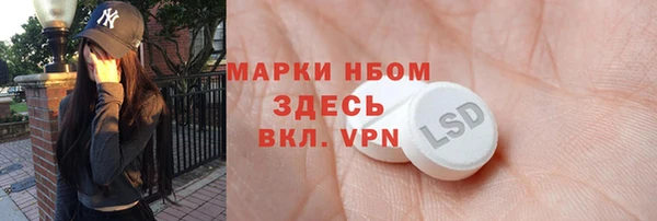 МДПВ Бородино