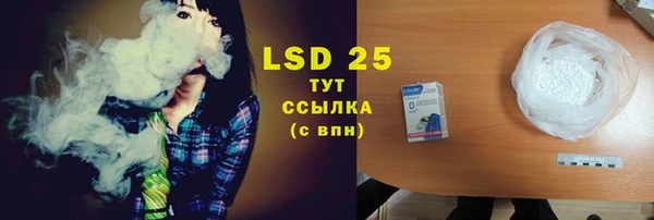 МДПВ Бородино
