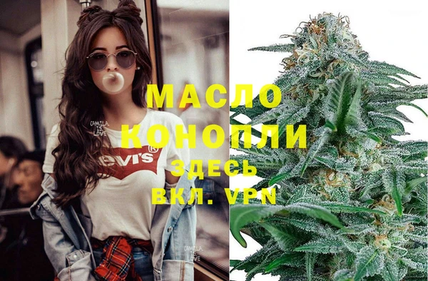 МДПВ Бородино