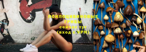 МДПВ Бородино