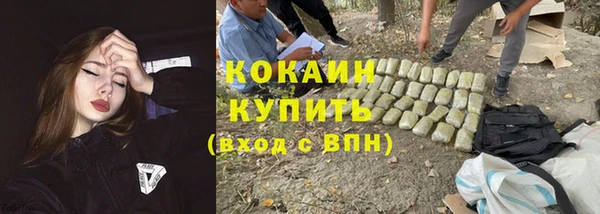 МДПВ Бородино