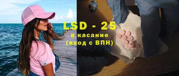 МДПВ Бородино
